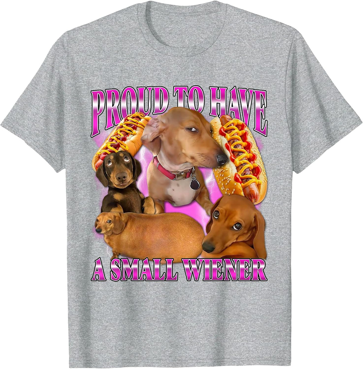 Proud to Have A Small Wiener Funny Offensive Dachshund Dog T-Shirt - Heather Grey