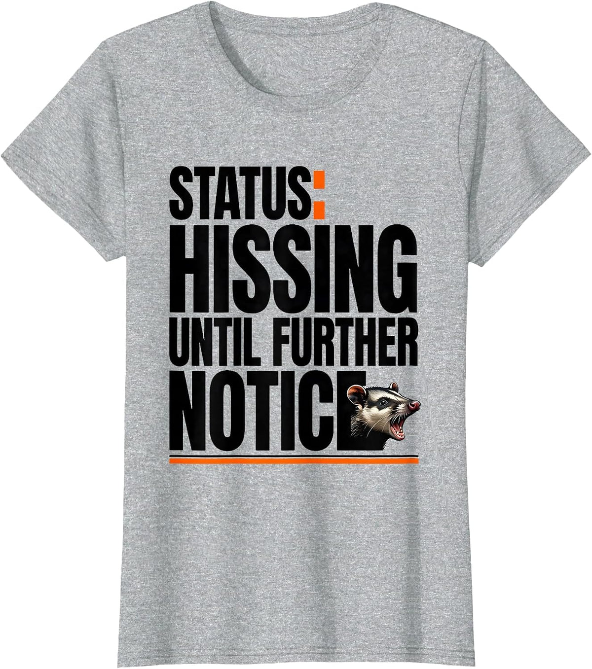 Women's STATUS: Hissing Until Further Notice Funny Opossum Meme T-Shirt - Heather Grey