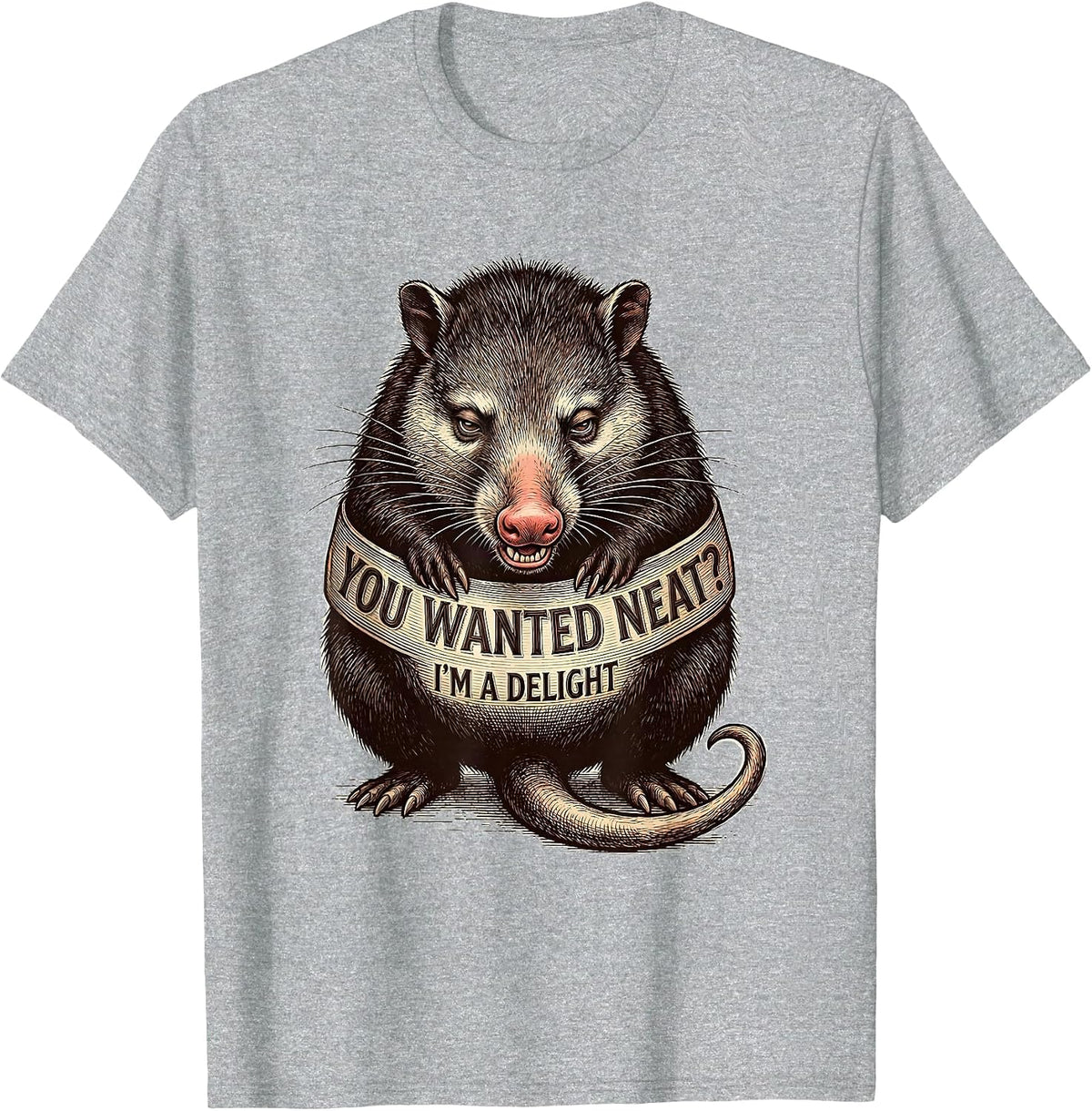 Men's You Wanted Neat? I'm A Delight Funny Opossum Animal Meme T-Shirt - Heather Grey