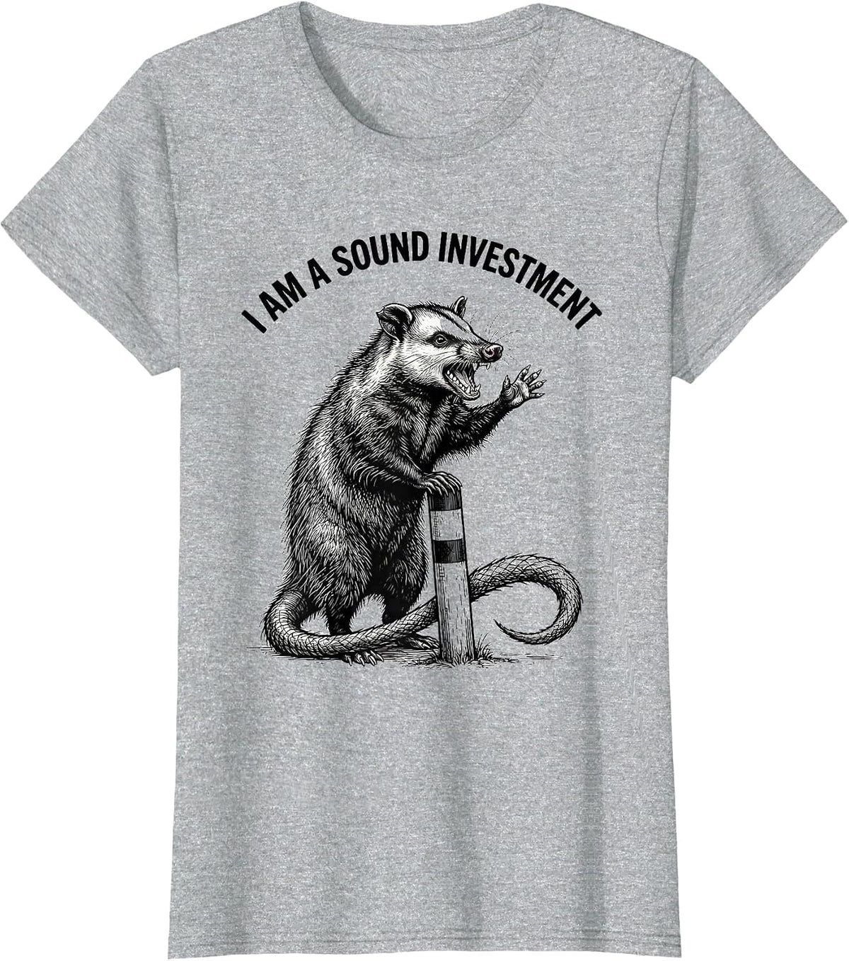 I Am A Sound Investment Funny Opossum Meme Possum Lover T-Shirt - Heather Grey