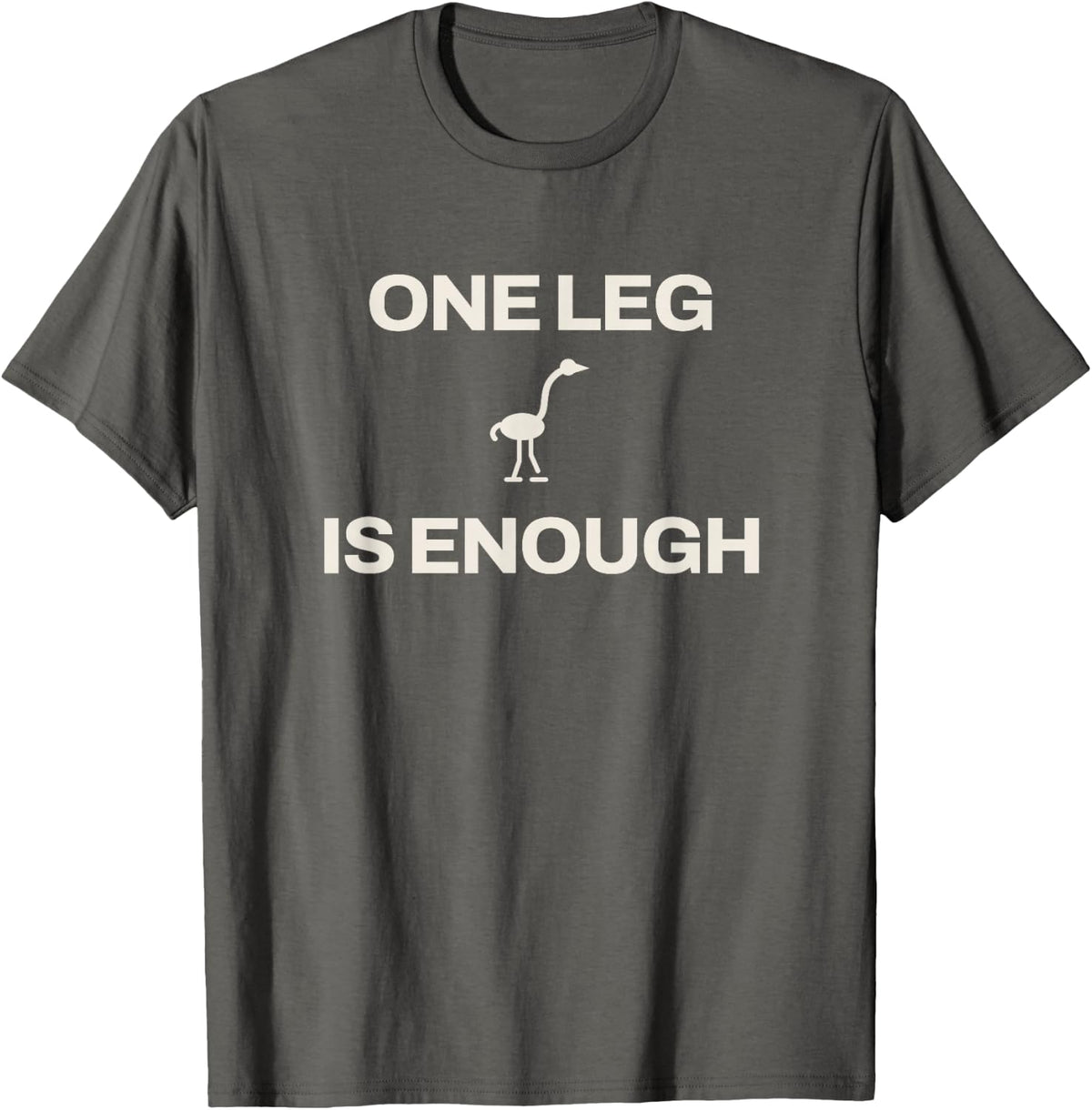 Flamingo One Leg is Enough Poolside Sunshine Pink Bird Lover T-Shirt - Asphalt Grey