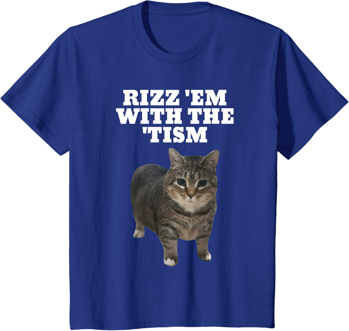 Rizz Em With The Tism Autistic Cat Rizz T-Shirt - Royal Blue
