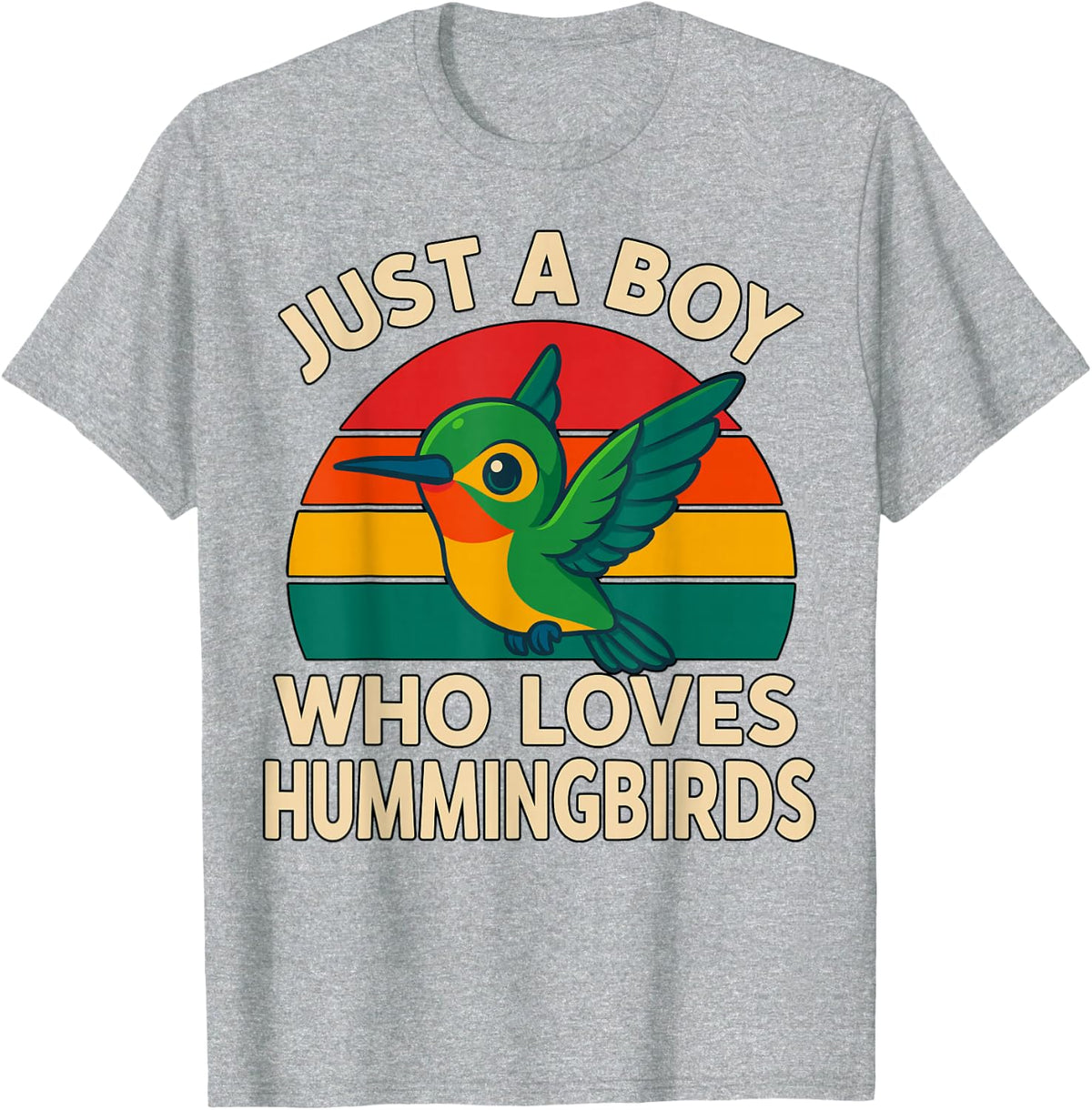 Just a Boy who Loves Hummingbirds T-Shirt - Heather Grey